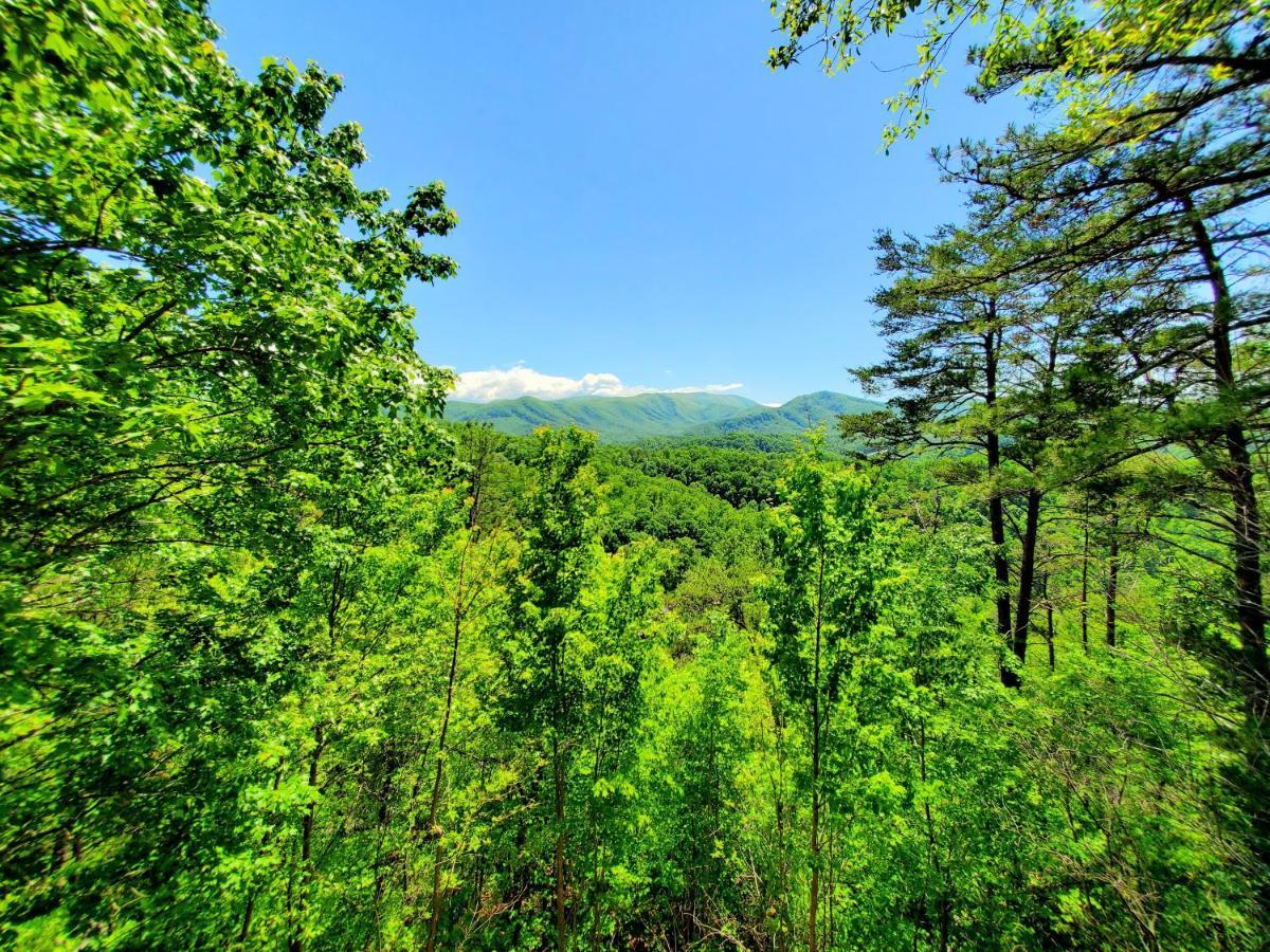 Mountain Ridge Villa Pigeon Forge Exteriör bild